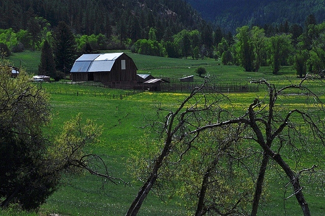 a farm along Highway 145